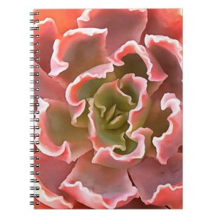 Cuaderno Sorprendente Jardín Suculentos Tonos Rosa Arte Rea