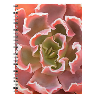 Cuaderno Sorprendente Jardín Suculentos Tonos Rosa Arte Rea