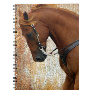Cuaderno Sorrel Occidental Grunge