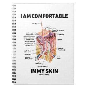 Cuaderno Soy cómodo en mi piel (las capas cutáneas)