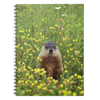 Cuaderno Soy Groundhog