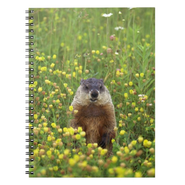 Cuaderno Soy Groundhog (Frente)