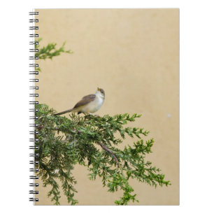 Cuaderno Sparrow