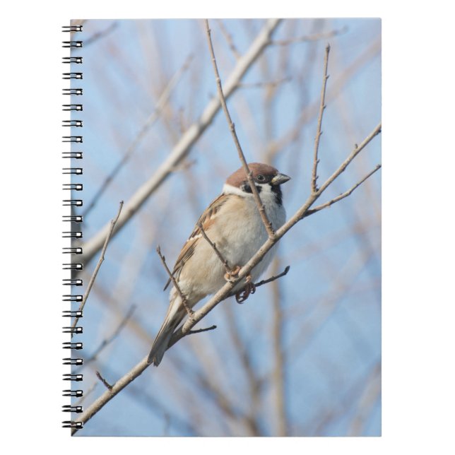 Cuaderno Sparrow (Frente)