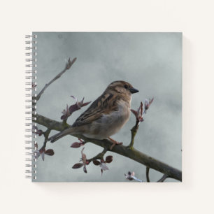 Cuaderno Sparrow en la foto de la sucursal