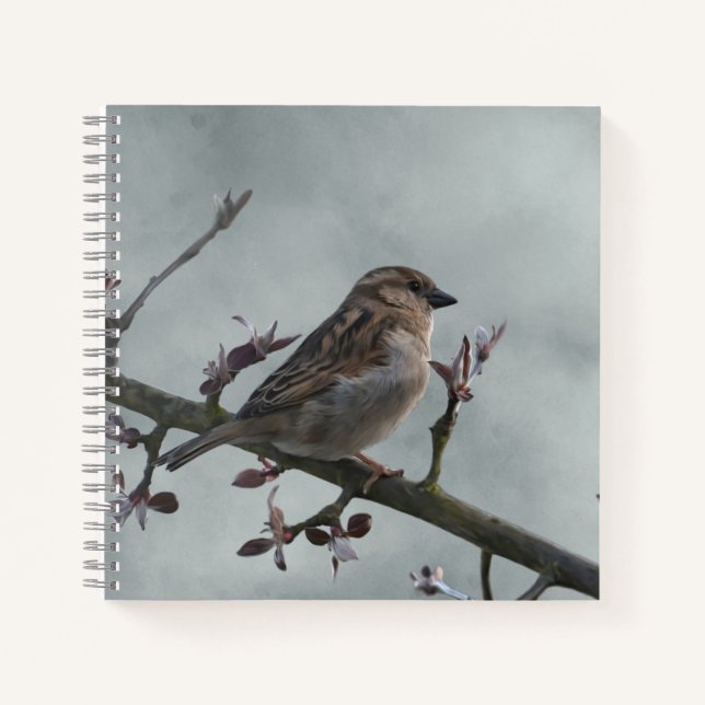 Cuaderno Sparrow en la foto de la sucursal (Anverso)