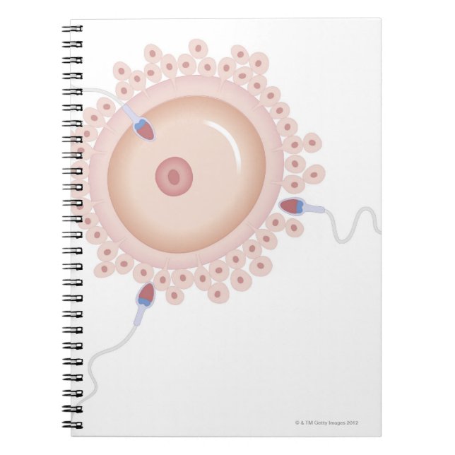 Cuaderno Sperm que contiene genes mutados (Frente)