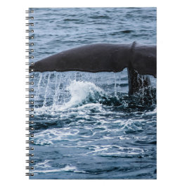 Cuaderno Sperm Whale
