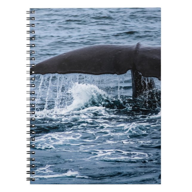 Cuaderno Sperm Whale (Frente)