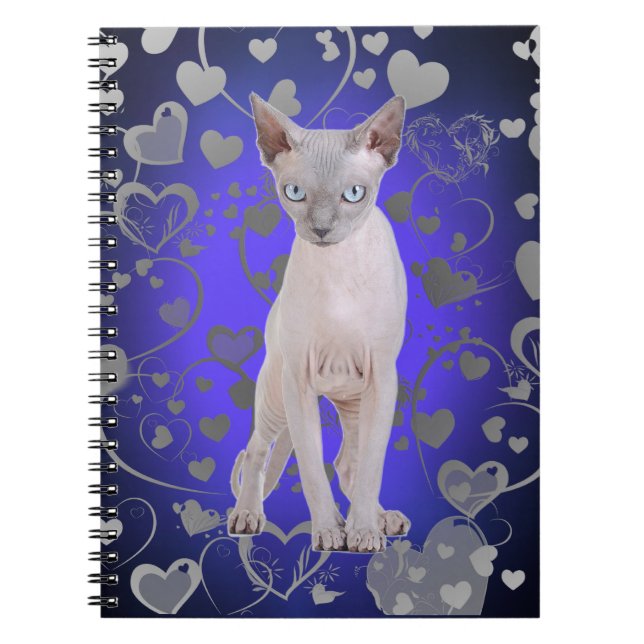 Cuaderno Sphynx cat (Frente)