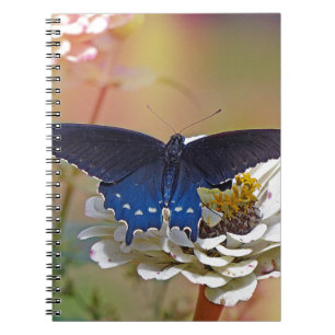 Cuaderno Spicebush Swallowtail