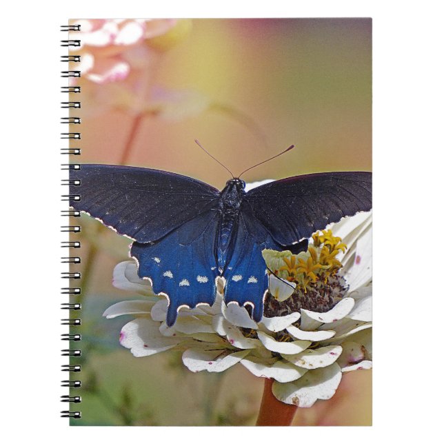 Cuaderno Spicebush Swallowtail (Frente)