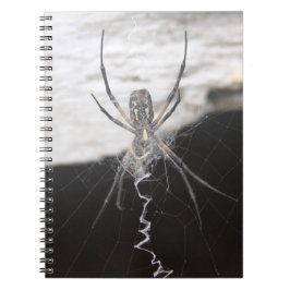Cuaderno Spider