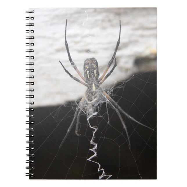 Cuaderno Spider (Frente)
