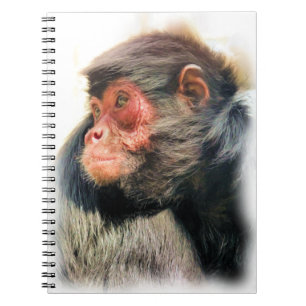 CUADERNO SPIDER MONKEY