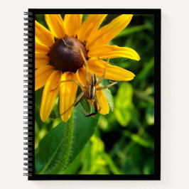 Cuaderno Spider sobre el girasol 8.5 x 11 portátil espiral