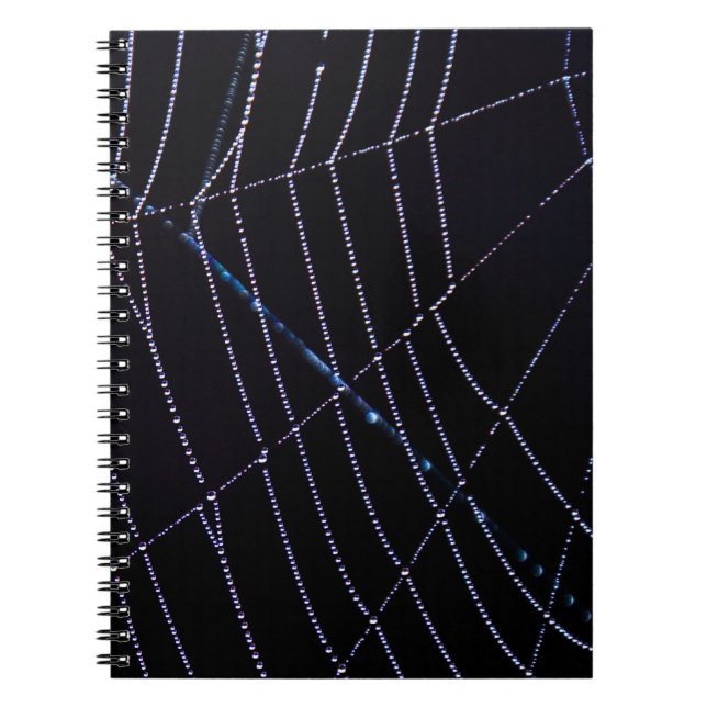 Cuaderno Spider Web (Frente)