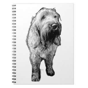Cuaderno Spinone – Compañero Canino Atento