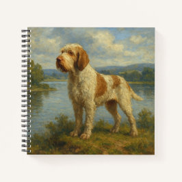 Cuaderno Spinone Italiano