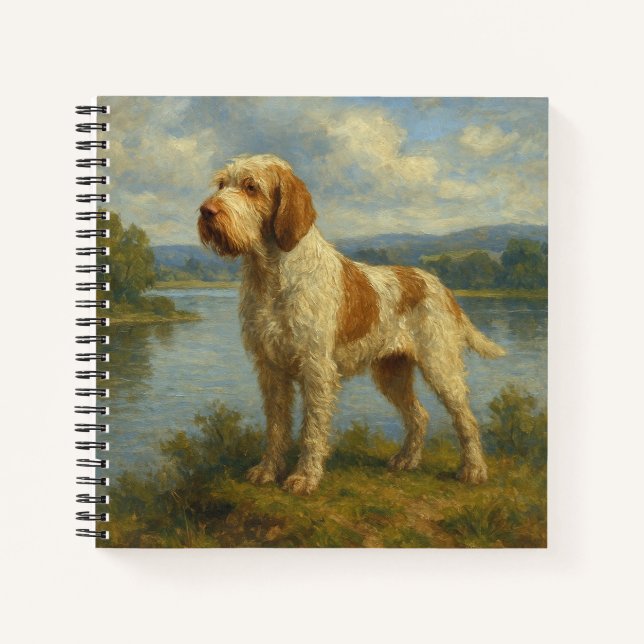 Cuaderno Spinone Italiano (Anverso)