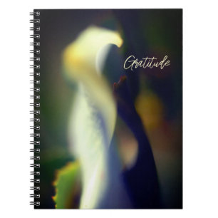 Cuaderno Spiral Gratitude Journal