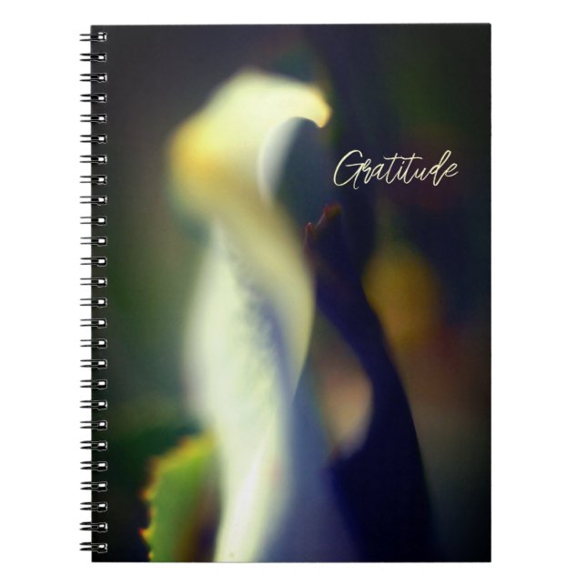 Cuaderno Spiral Gratitude Journal (Frente)