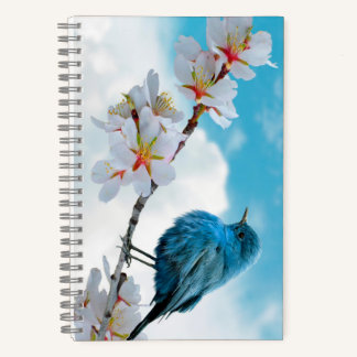 Cuaderno Spiral Notebook