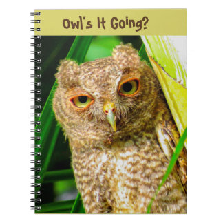 Cuaderno Spiral Notebook Owl's It Going