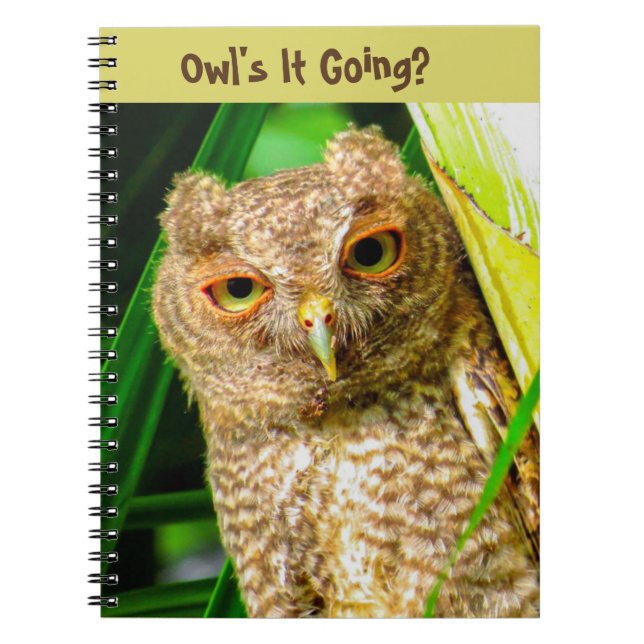 Cuaderno Spiral Notebook Owl's It Going (Frente)