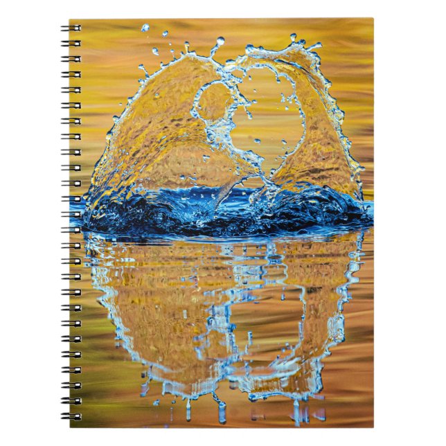 Cuaderno Splash en la noche de otoño (Frente)
