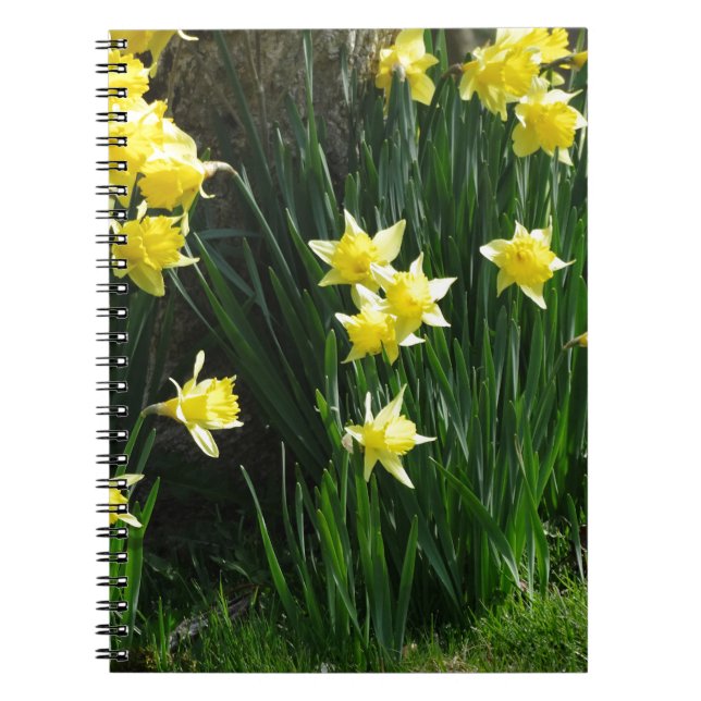 Cuaderno Spring Daffodils (Frente)