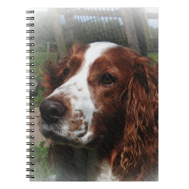 Cuaderno Springer Spaniel Dog Art (Frente)