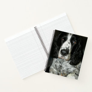 Cuaderno Springer Spaniel inglés negro y blanco
