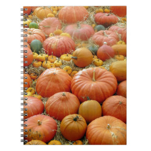 Cuaderno Squash Galore