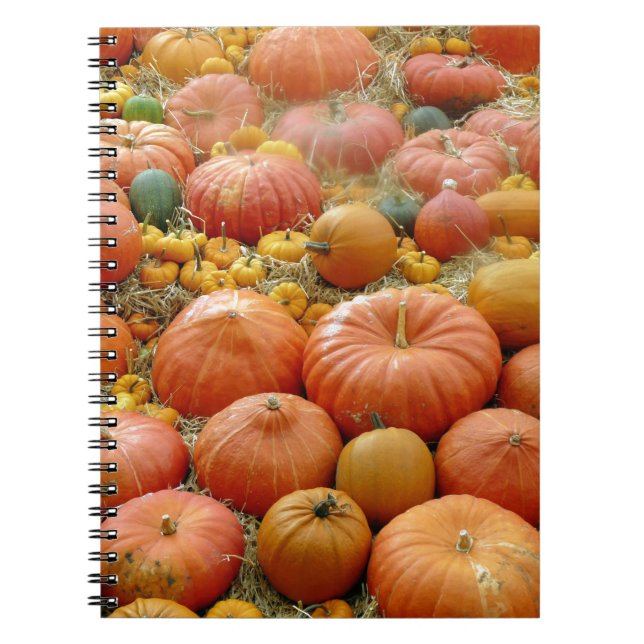 Cuaderno Squash Galore (Frente)