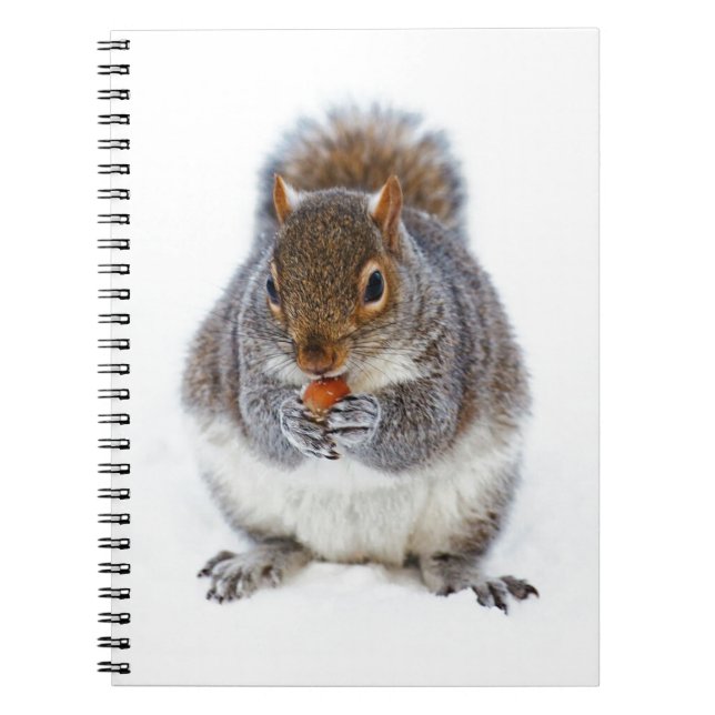 Cuaderno Squirrel Eating a Nut in Winter Snow (Frente)