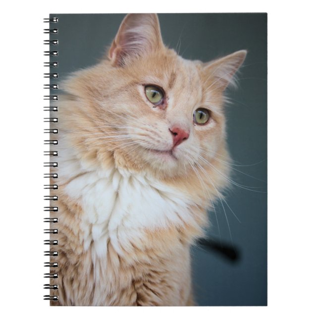 Cuaderno Sr. Handsome (Frente)