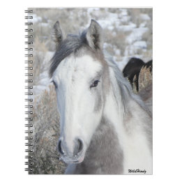 Cuaderno Sr. Kitty Notebook