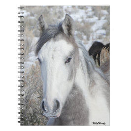 Cuaderno Sr. Kitty Notebook