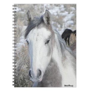 Cuaderno Sr. Kitty Notebook