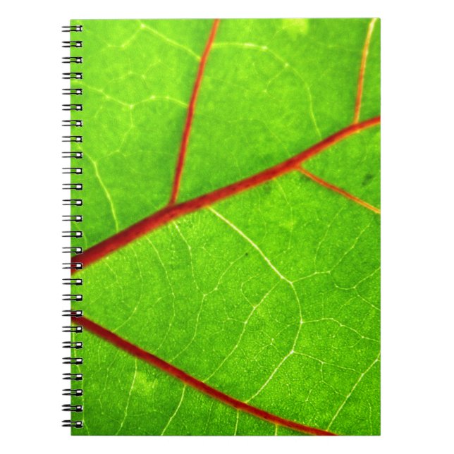 Cuaderno St Thomas 1 (Frente)