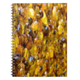 Cuaderno St Thomas 2