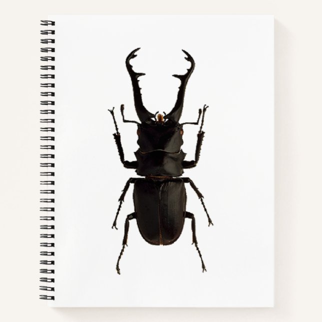 Cuaderno Stag Beetle (Anverso)