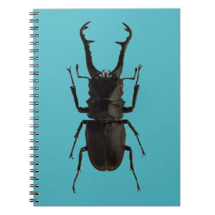 Cuaderno Stag Beetle