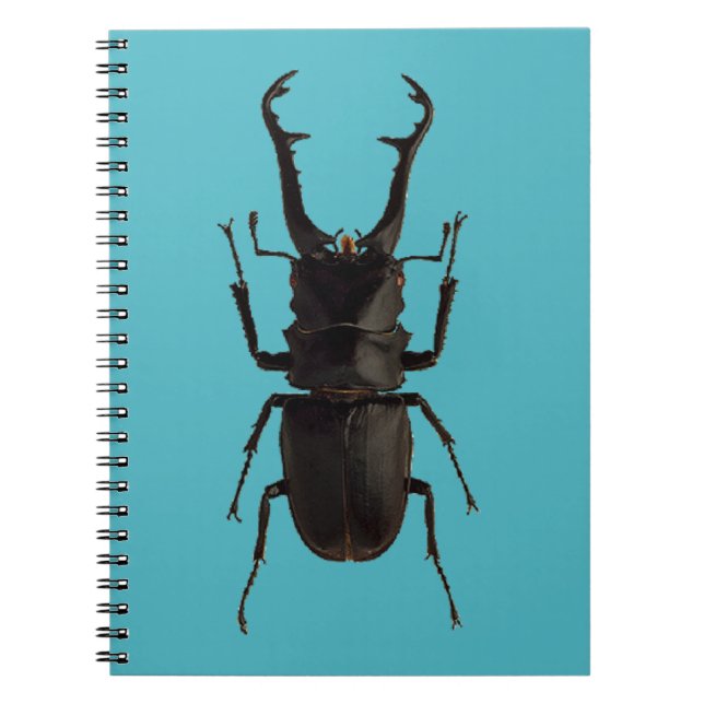 Cuaderno Stag Beetle (Frente)