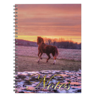 Cuaderno Stallion corriendo a casa al atardecer en el ranch