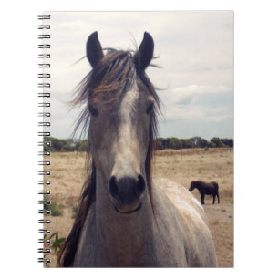 Cuaderno Star El Poni Árabe