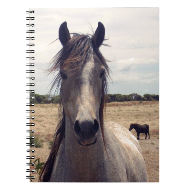 Cuaderno Star El Poni Árabe (Frente)