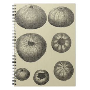 Cuaderno Starfish negro y blanco