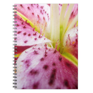 Cuaderno Stargazer Lily Bright Magenta Floral
